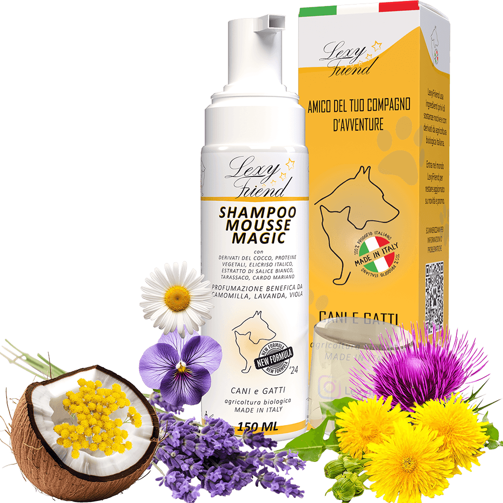 Shampoo Secco Cane Naturale Lavaggio_