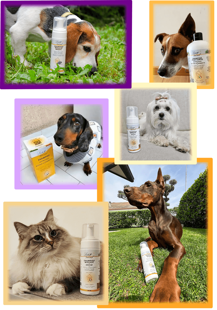 Shampoo per Animali Domestici Naturale Profumato